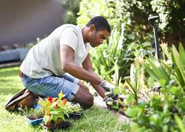 man working his garden