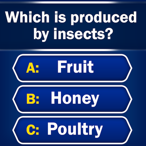 image of an online triva game